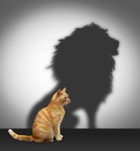 courage-cat-lion